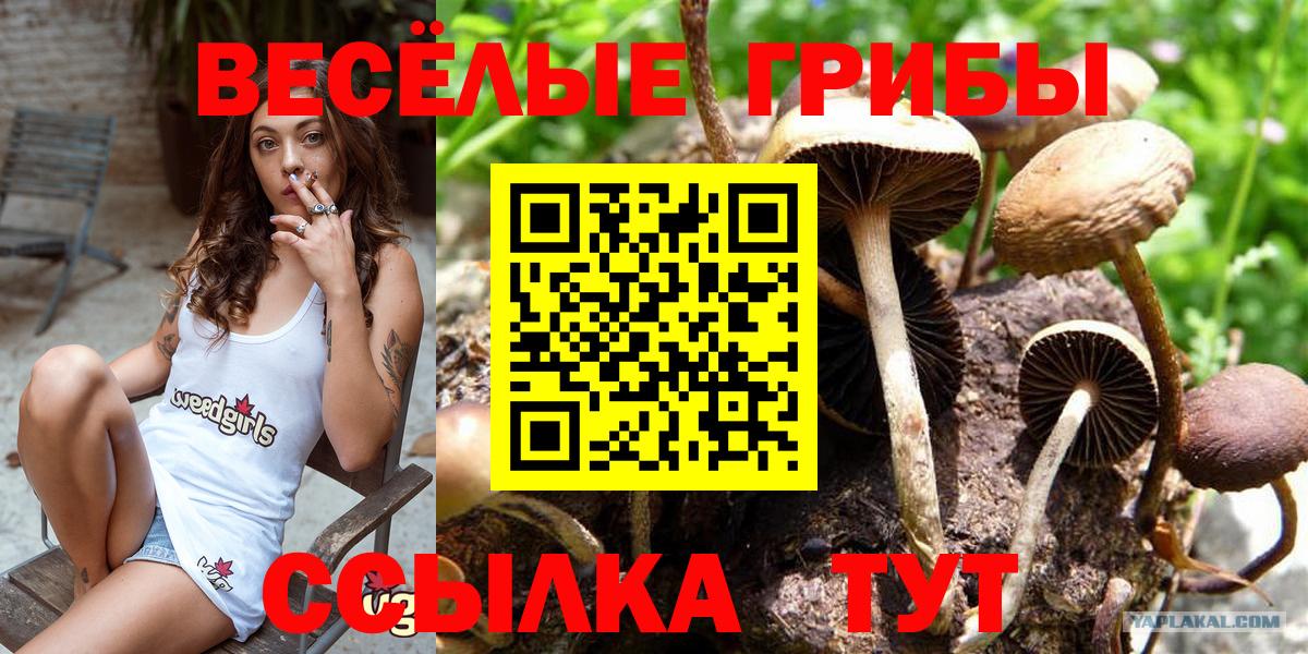 Псилоцибиновые грибы ЛСД  Вход с VPN  закладки  Галлюциногенные грибы ЛСД  Южноуральск 