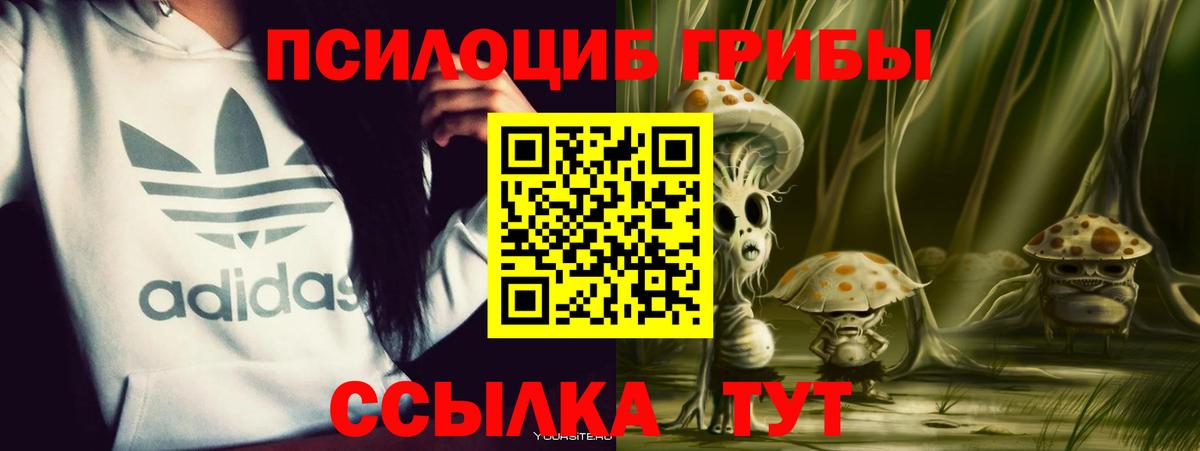 Псилоцибиновые грибы ЛСД Южноуральск